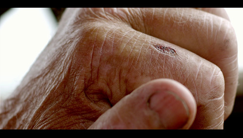 Life.Cycles.2010.Blu-ray.REMUX.H264.1080