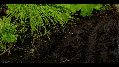 Life.Cycles.2010.Blu-ray.REMUX.H264.1080