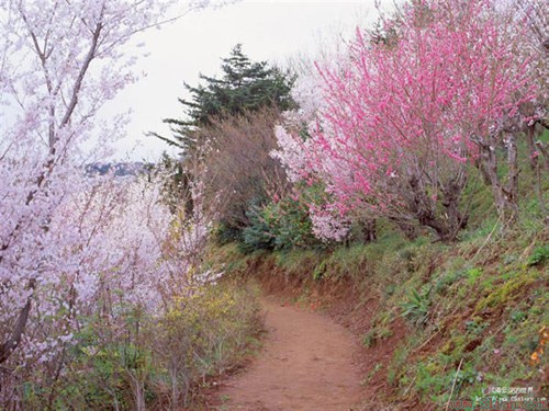 风光旖旎的欧洲乡野[43]