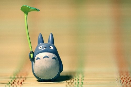 龍貓ilovetotoro