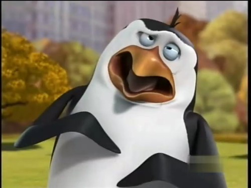 来自:日本头衔:大兵rico:爱好:沙丁鱼身份:企鹅帮的领头鹅,战术顾问