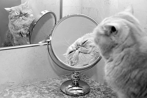 照镜子